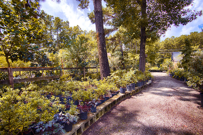 Four Seasons Nursery-Landscaping