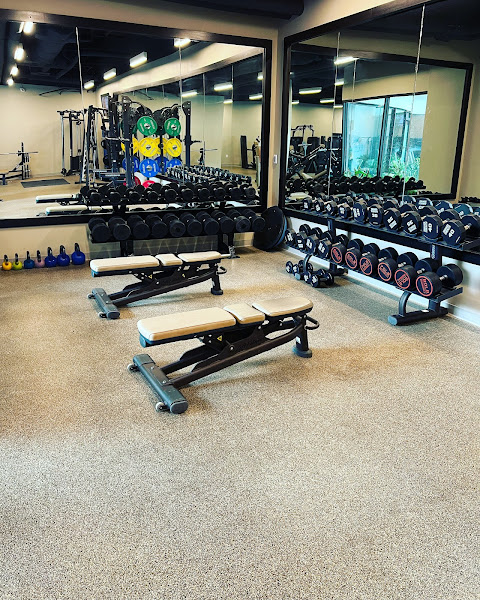 Fit Waikiki