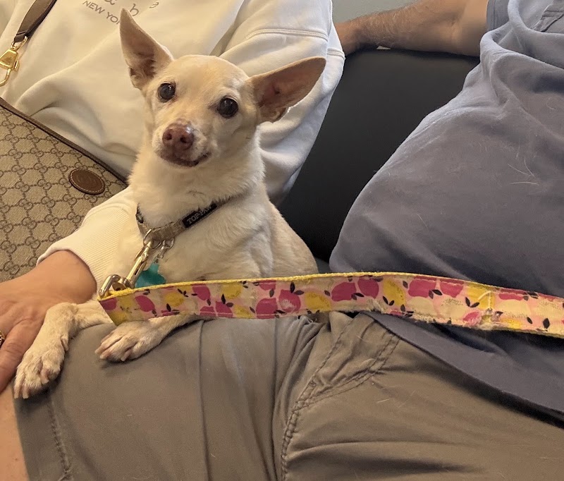 Centennial Hills Animal Hospital