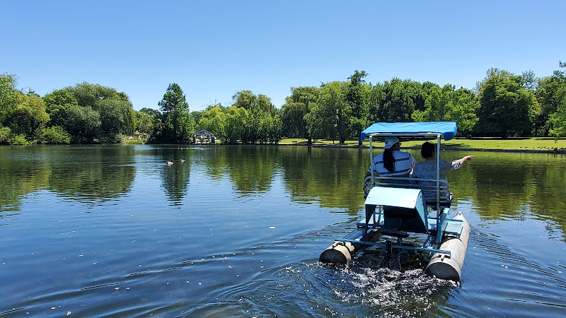 Boise Paddle Boat Rentals