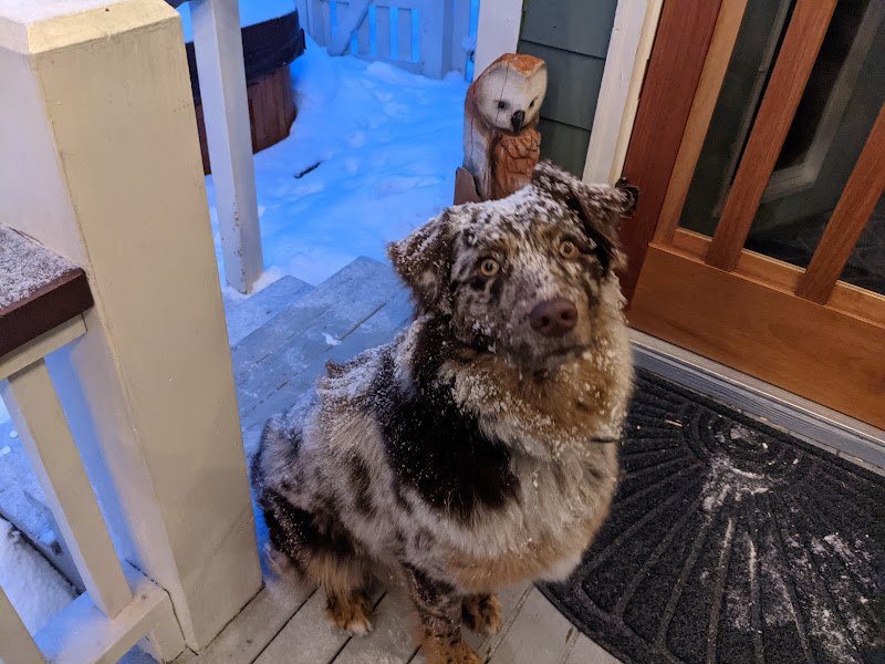 Breckenridge Animal Clinic - Veterinarian in Breckenridge
