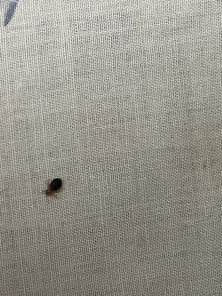 Best Termite & Pest Control Inc