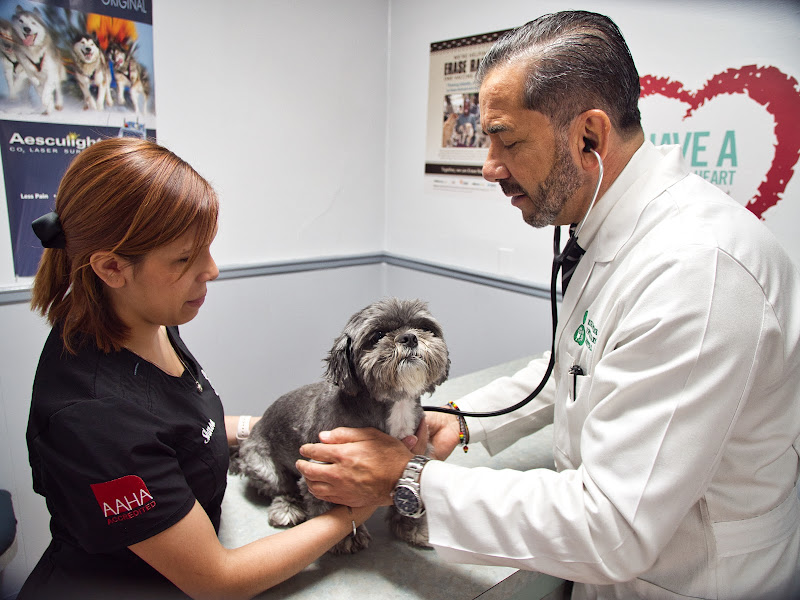 SODO Veterinary Hospital