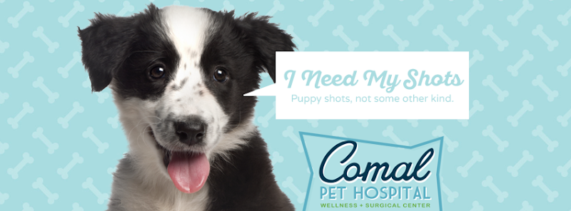 Comal Pet Hospital & Resort - Veterinarian in New Braunfels