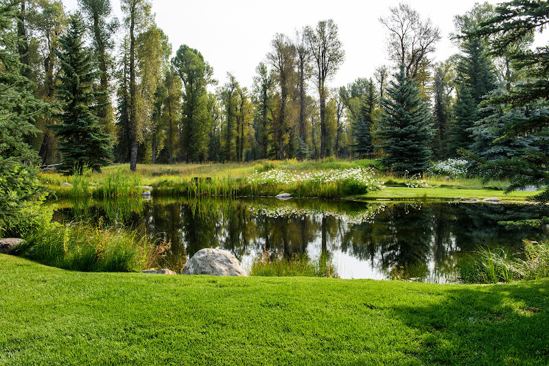 Frederick Landscaping - Landscaper in your area