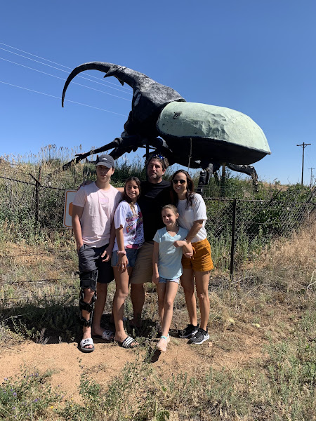Herkimer, the World's Largest Beetle - Tourist attraction in Colorado Springs