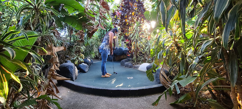 Tropics Mini Golf