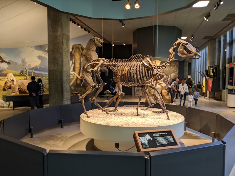 La Brea Tar Pits and Museum - Tourist attraction in Los Angeles