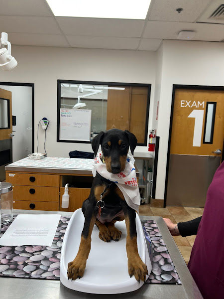 PetSmart Veterinary Services - Palm Springs - Veterinarian in Palm Springs
