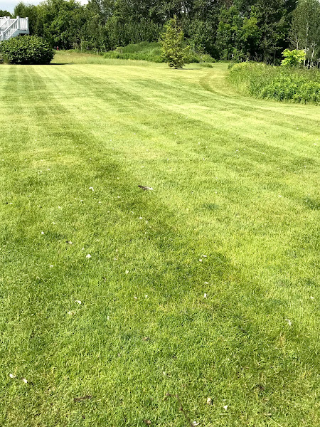Rusty Acres Property Management LLC