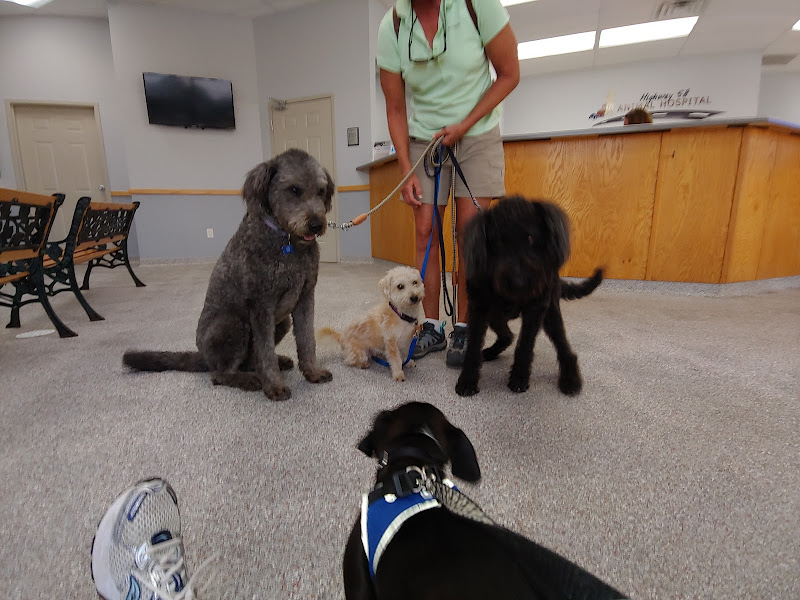 Highway 58 Animal Hospital - Animal hospital in Chattanooga