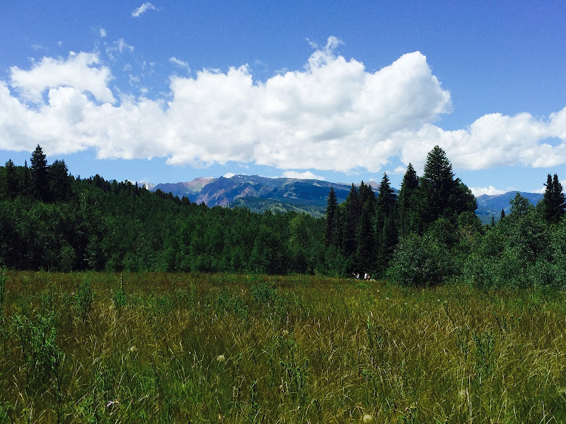 Divorce in Colorado - Vail