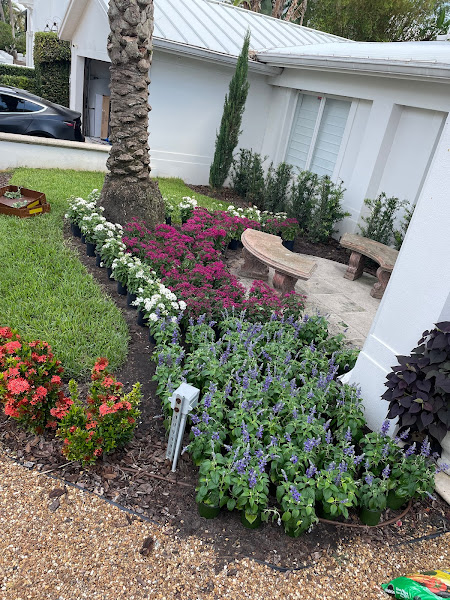Central Land Care - Lawn Care Tampa FL Including Landscaping, Irrigation, and Landscape Lighting