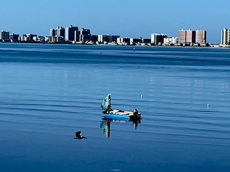 Causeway Byway