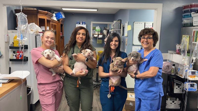 Animal House Veterinary Clinic