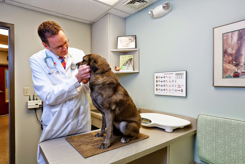 Shallowford Animal Hospital - Veterinarian in Chattanooga