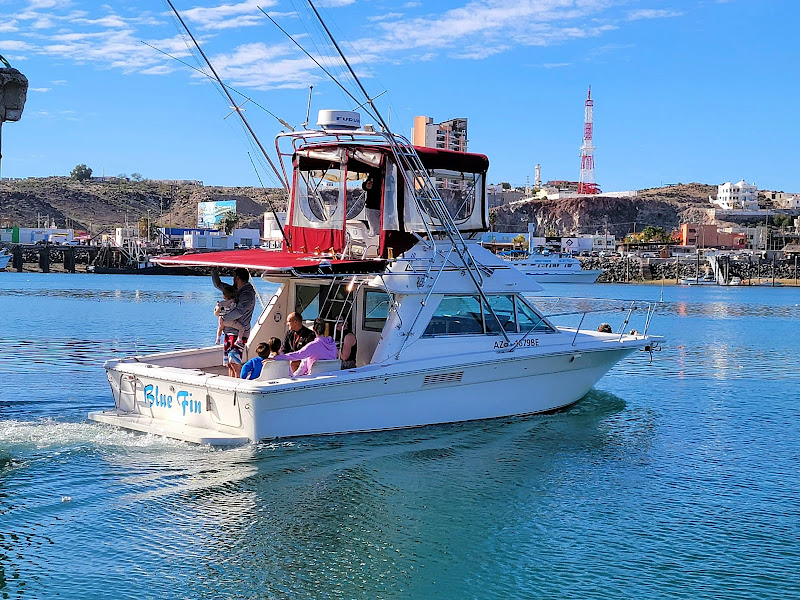 Eco Fun Fishing Charters - Fishing charter in Calle manlio favio beltrones y