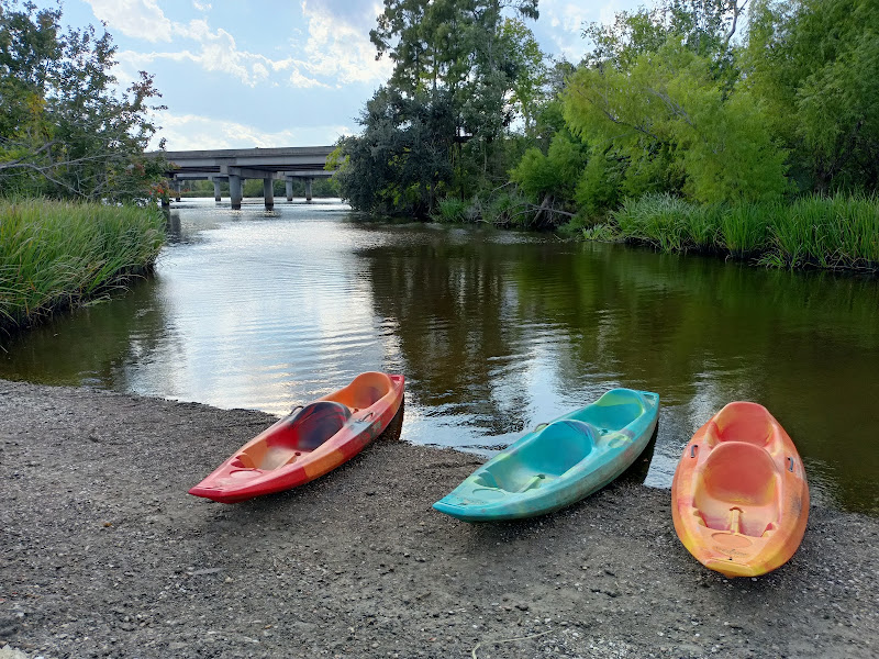 Wild Louisiana Kayak Swamp Tours