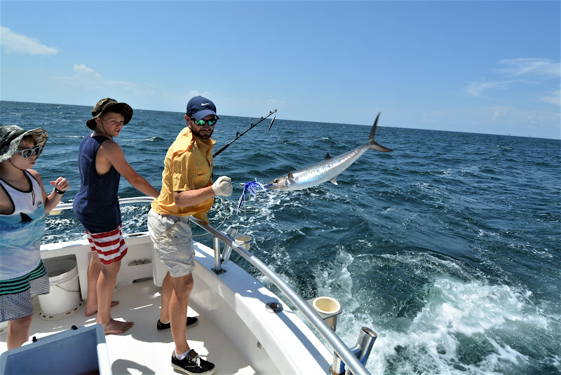 Distraction Charters - Fishing charter in Orange Beach
