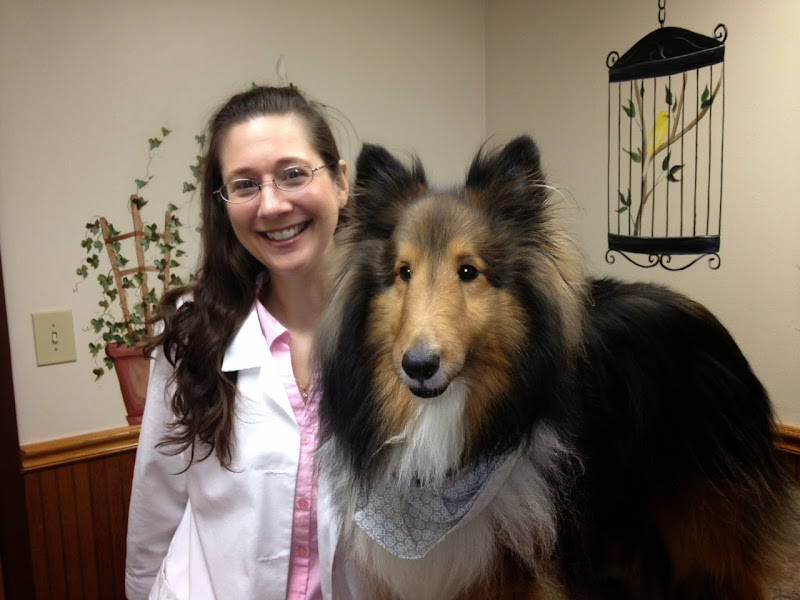 Sand Lake Animal Clinic