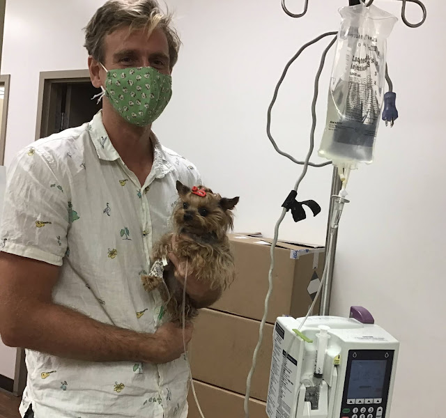 Waipahu Waikele Pet Hospital - Veterinarian in Waipahu