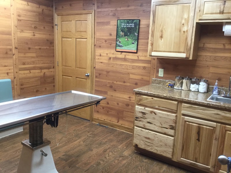Animal Clinic of Elkhorn - Animal hospital in Elkhorn