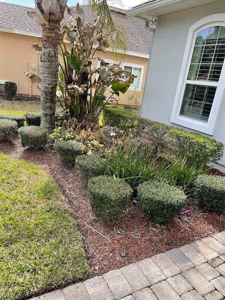 Jungle Life Landscape LLC
