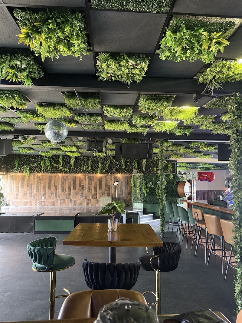 Jungle Hideaway photo