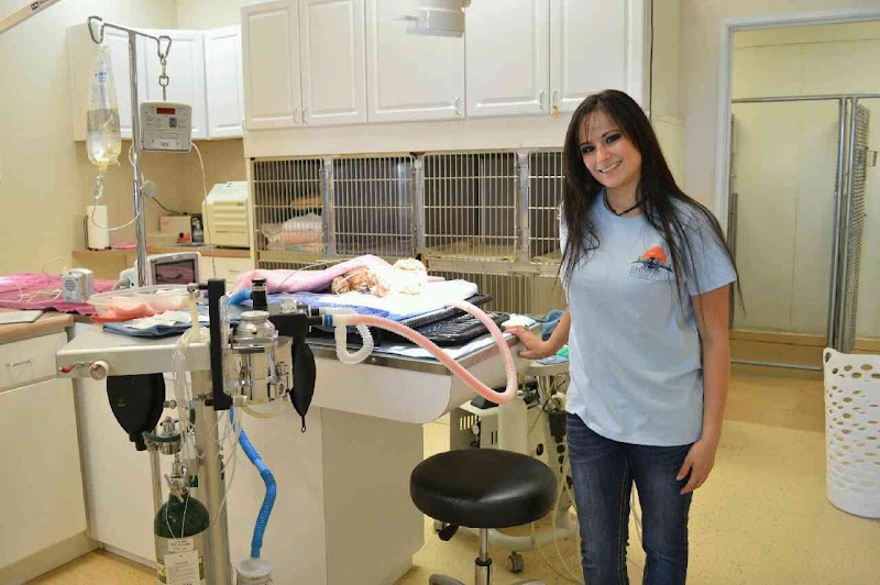 Desert Hills Animal Clinic photo