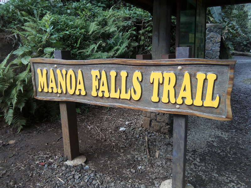 Lyon Arboretum - Tourist attraction in Honolulu