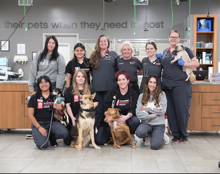 Veterinary Emergency Group