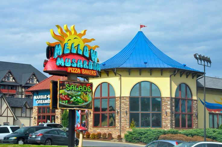 Mellow Mushroom Pigeon Forge - Pizza restaurant in Pigeon Forge