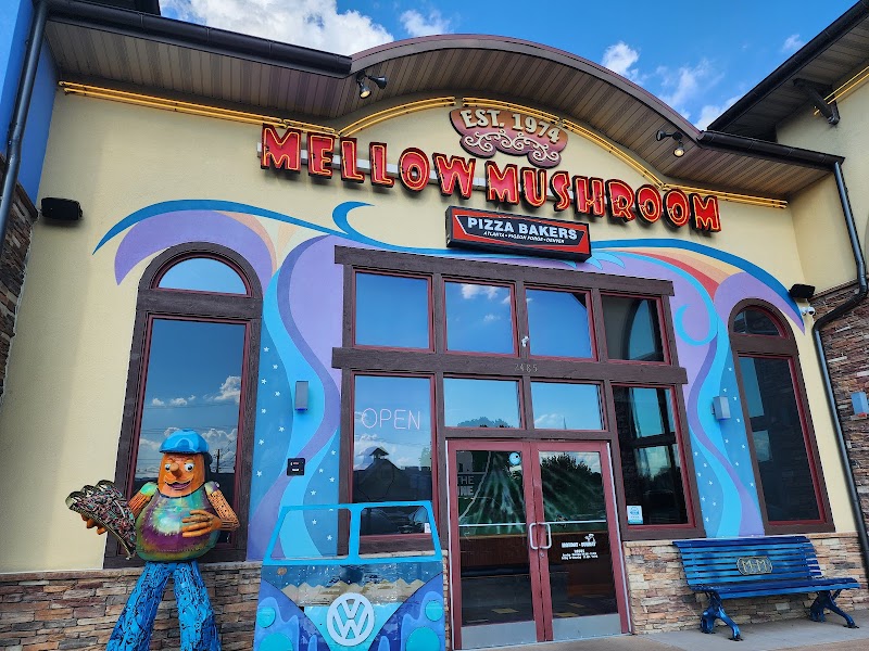 Mellow Mushroom Pigeon Forge photo