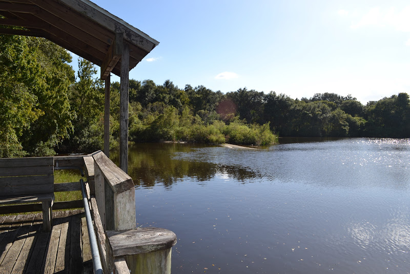 Moccasin Lake Nature Park - Tourist attraction in Clearwater