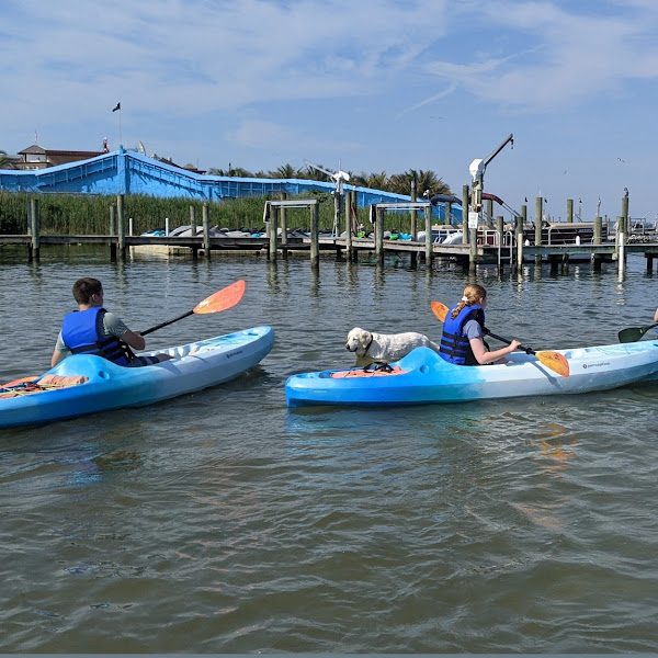 Odyssea Watersports Jetski Rentals, Boat Rentals, Service Shop and Storage Facility