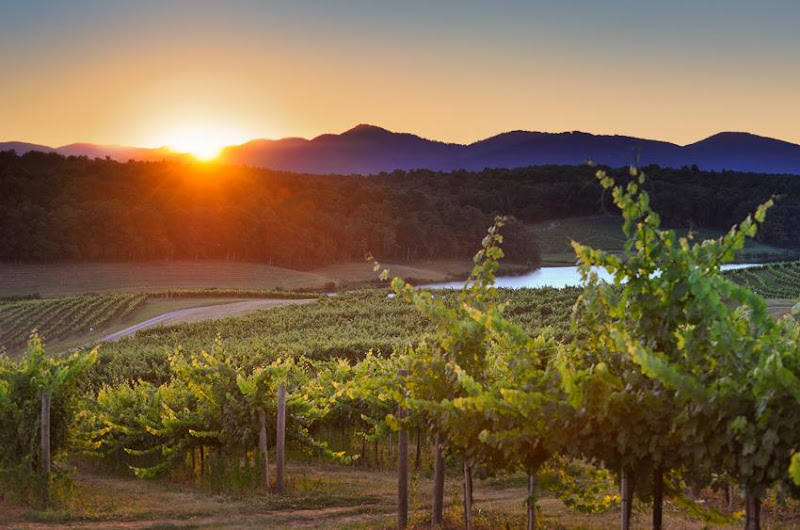 D'vine Detours - Tour operator in Sedona