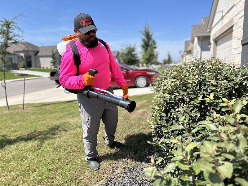 Lemonade Pest - Pest control service in New Braunfels