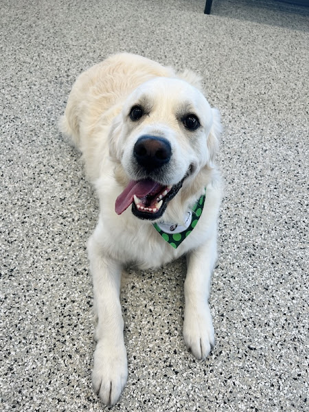 Magnolia Bay Animal Hospital
