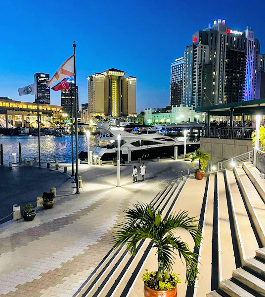 The McIntosh Group- Military Relocation- Luxury Homes-First Time Homebuyer-Top Realtor- Best Agent - Real estate agent in Tampa