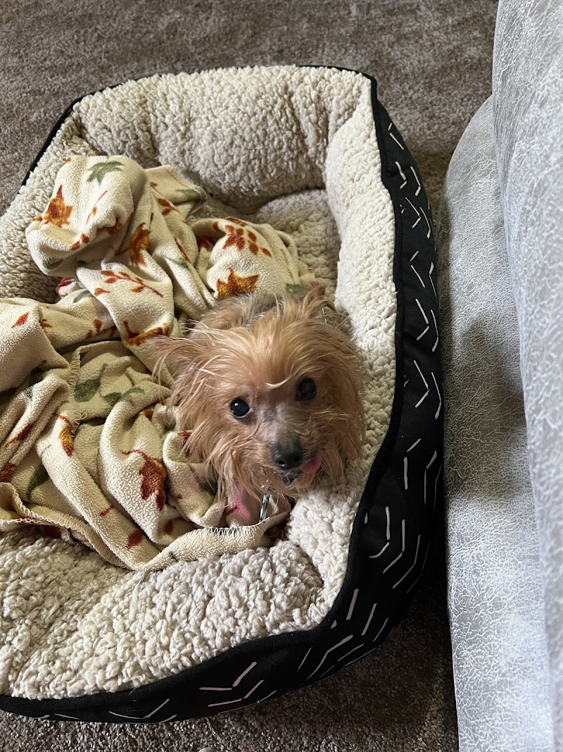 Warrington Veterinary Clinic photo