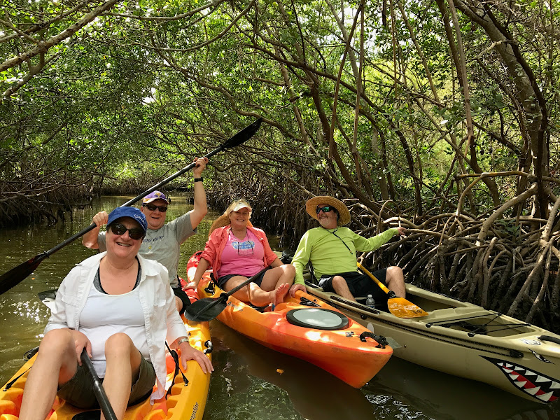 Paradise Adventures Sarasota