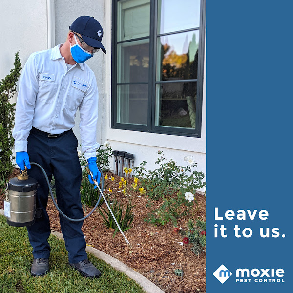 Moxie Pest Control