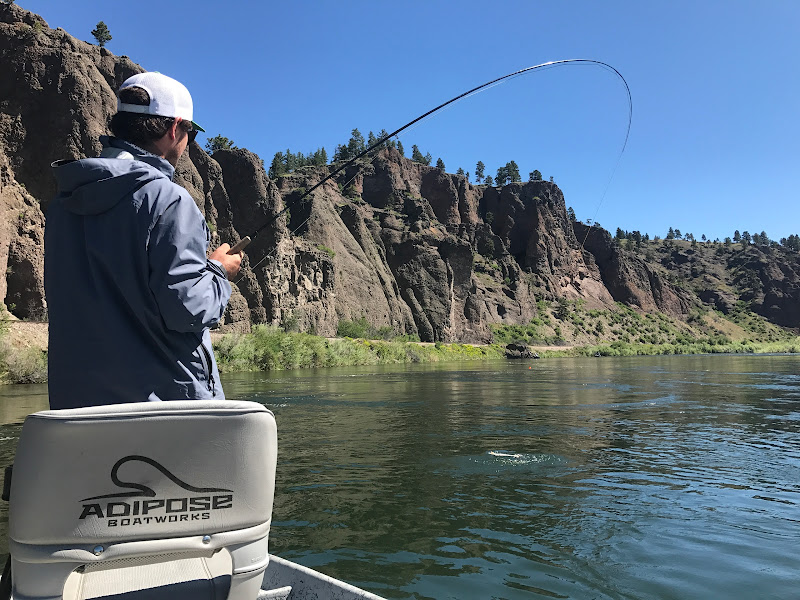 Montana Angling Company