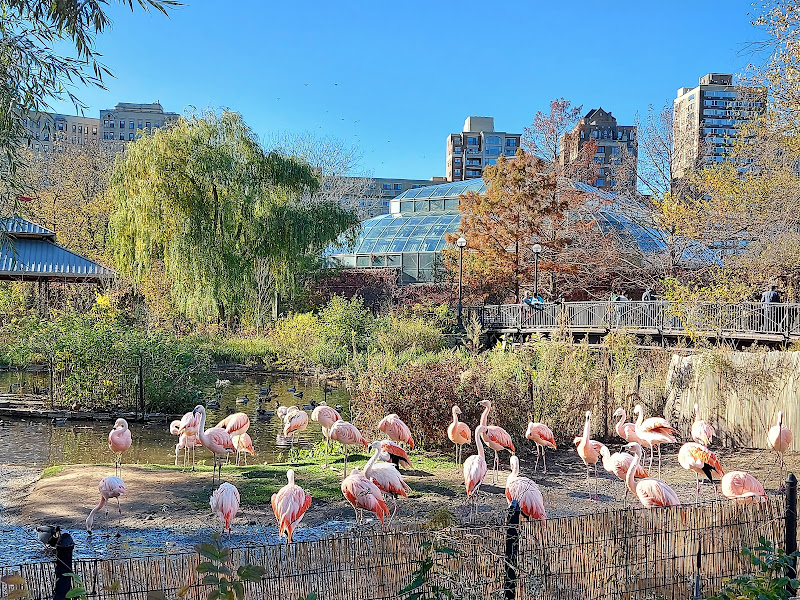 Lincoln Park Zoo - Tourist attraction in IL 60614