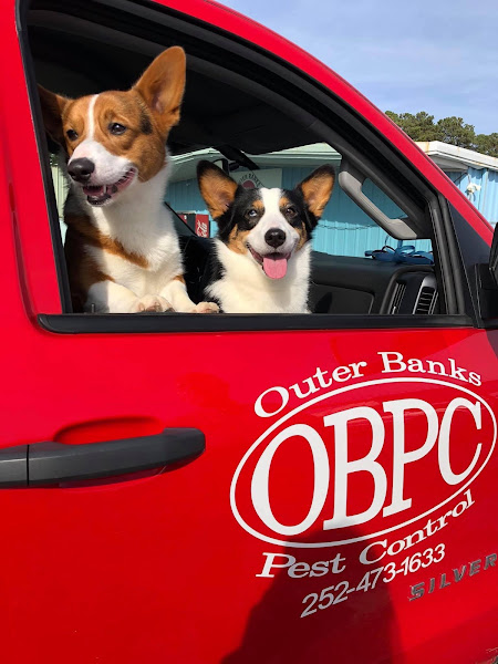 Outer Banks Pest Control - Pest control service in 264 South St