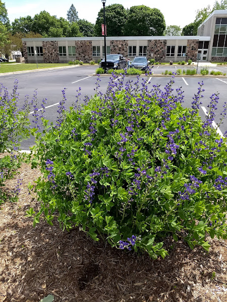 Veterans Park - Park in Elkhorn
