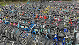 BUTTERFLY BIKE & KAYAK - Bicycle rental service in Santa Rosa Beach