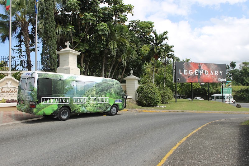 Jamaica Land of Film Tour - Tourist attraction in Providence Way