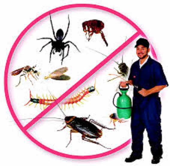 Pest Control Chicago - Pest control service in Chicago