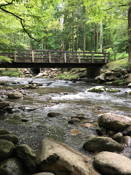 Terri Negrone, Realtor - Real estate agent in Sevierville